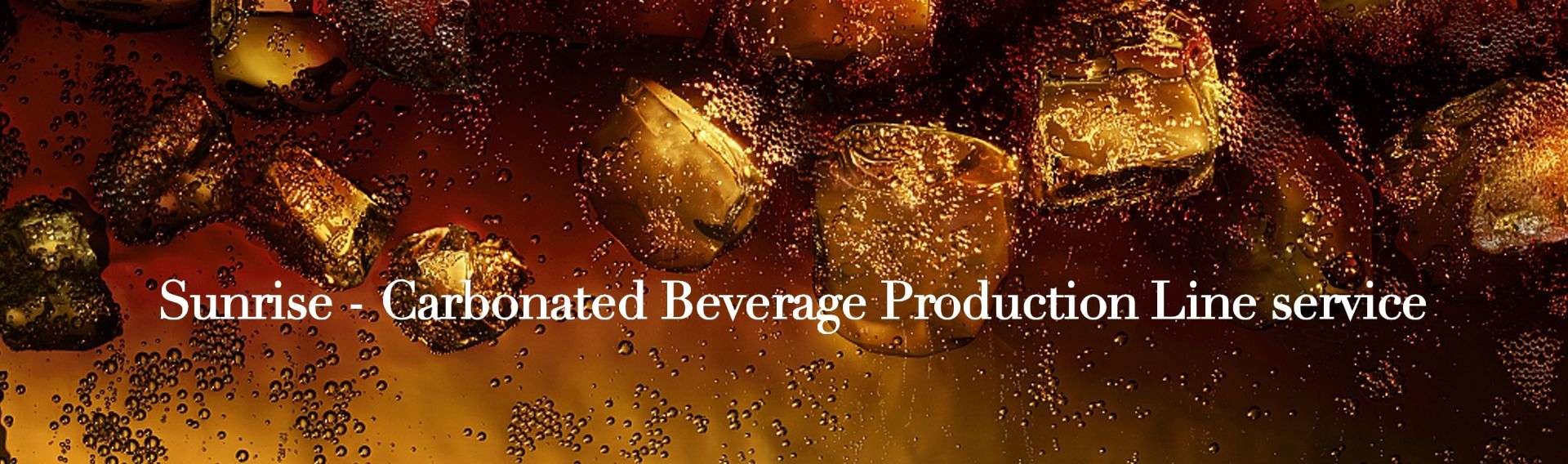 quality Carbonated Drinks Production Line Service