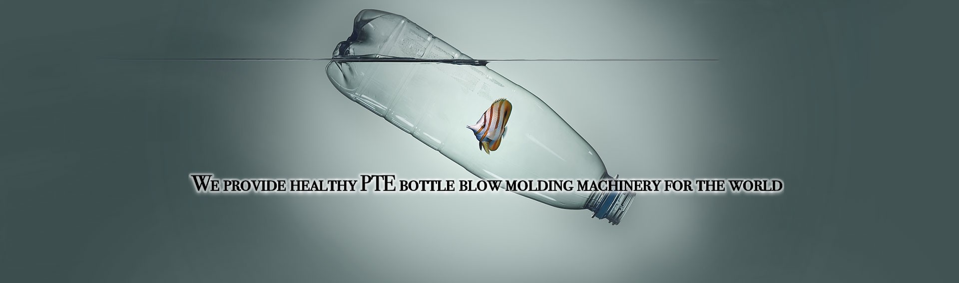 quality Plastic Blow Molding Machines Service
