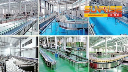 quality Automatic Secondary Packaging System Service